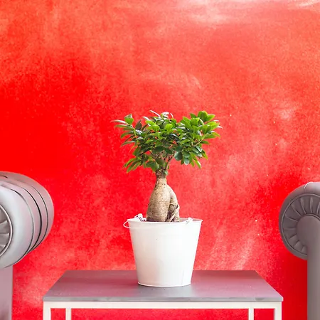 Hotel Italia Dormelletto