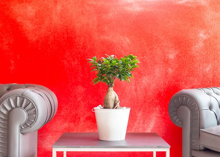 Otel Italia Dormelletto